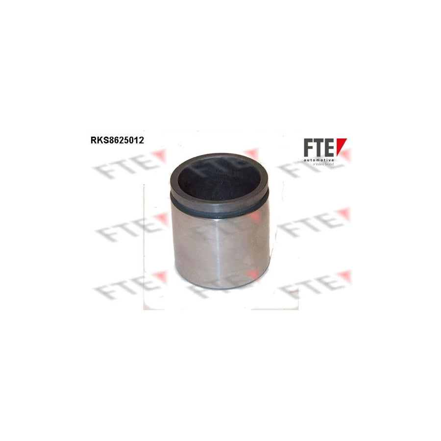 Fte 9313219 Piston, Brake Caliper | ML Performance UK Car Parts