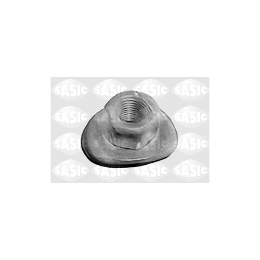 SASIC 4055095 Wheel Nut | ML Performance UK Car Parts