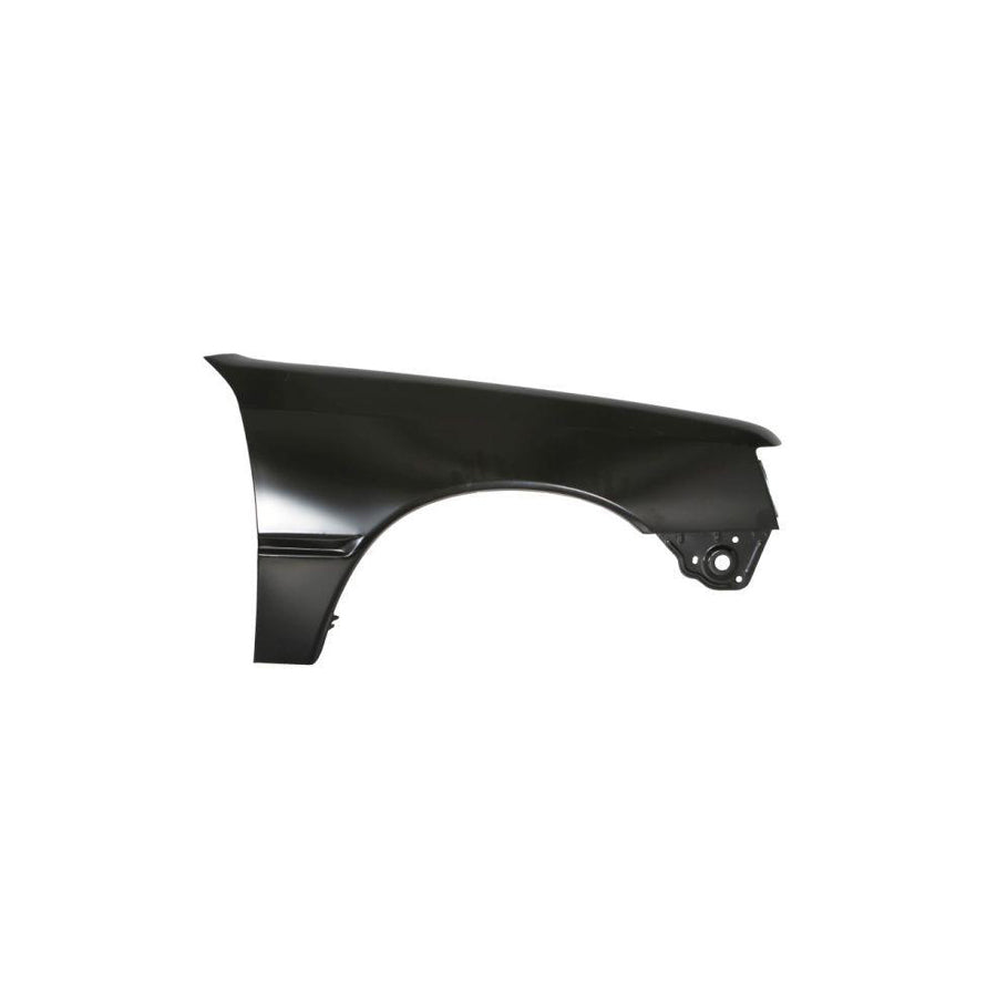 Blic 6504-04-5503312P Wing Fender For Peugeot 205