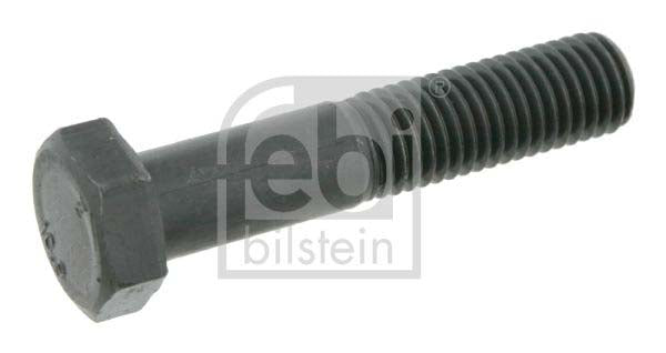 Febi Bilstein 22598 Screw | ML Performance UK Car Parts