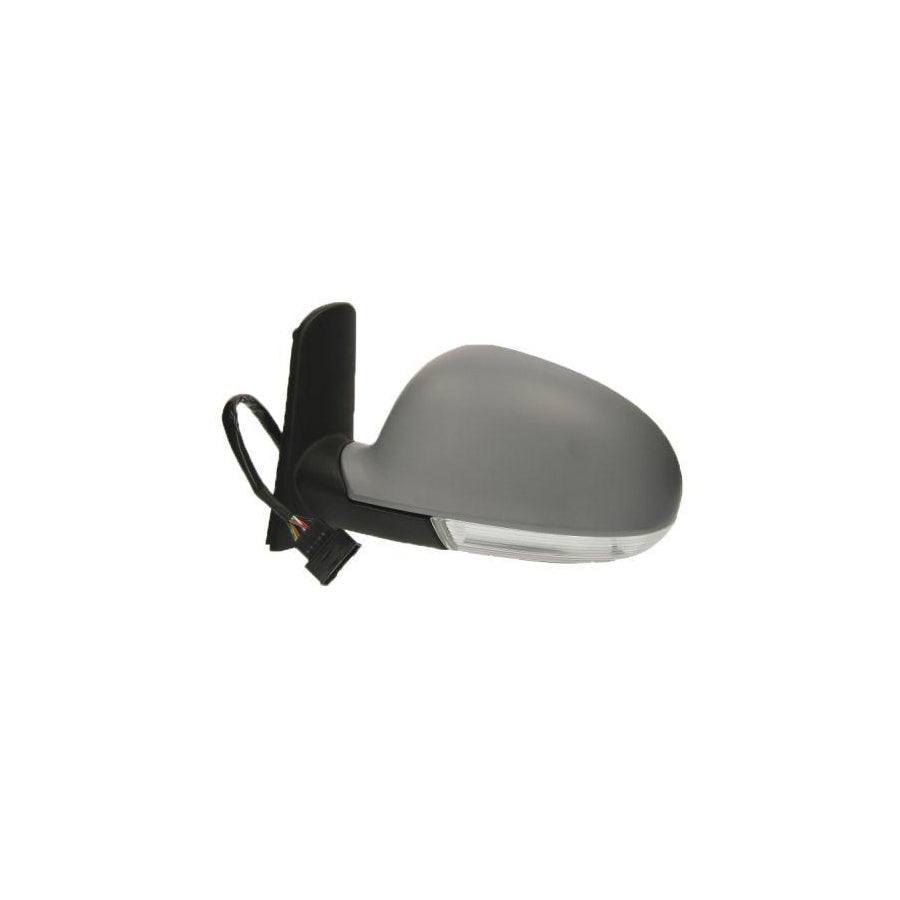 Blic 5402-04-1129891 Wing Mirror For VW Sharan I (7M8, 7M9, 7M6)