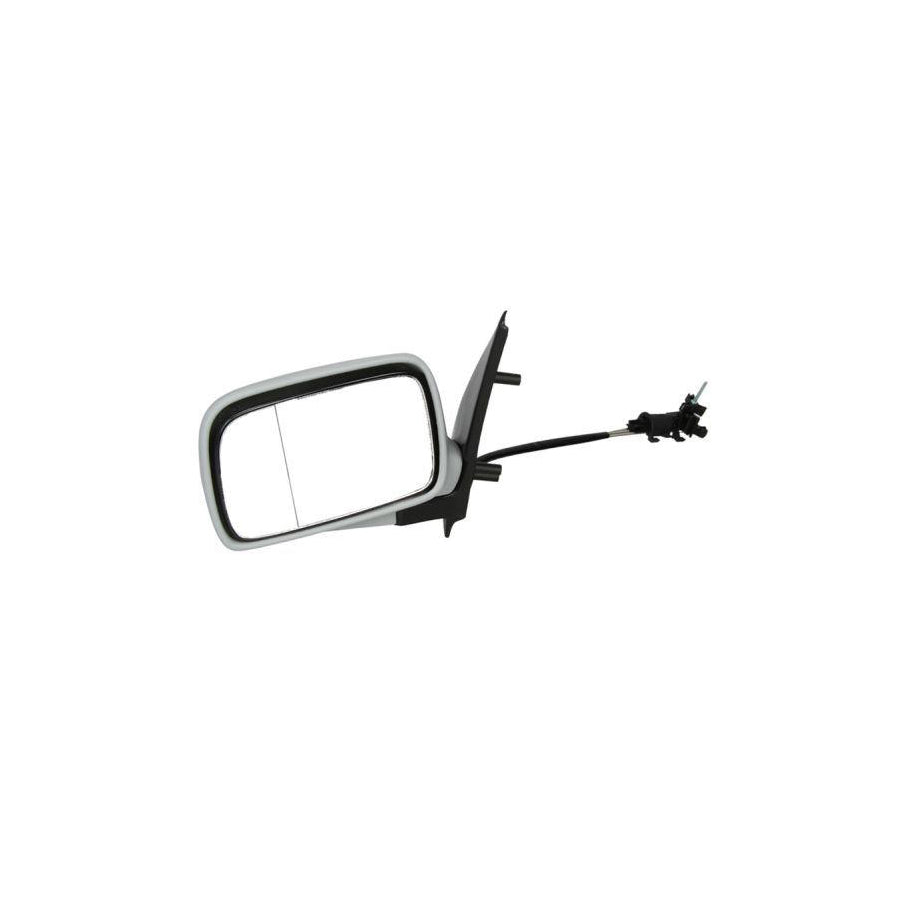 Blic 5402-04-1112197P Wing Mirror For VW Polo