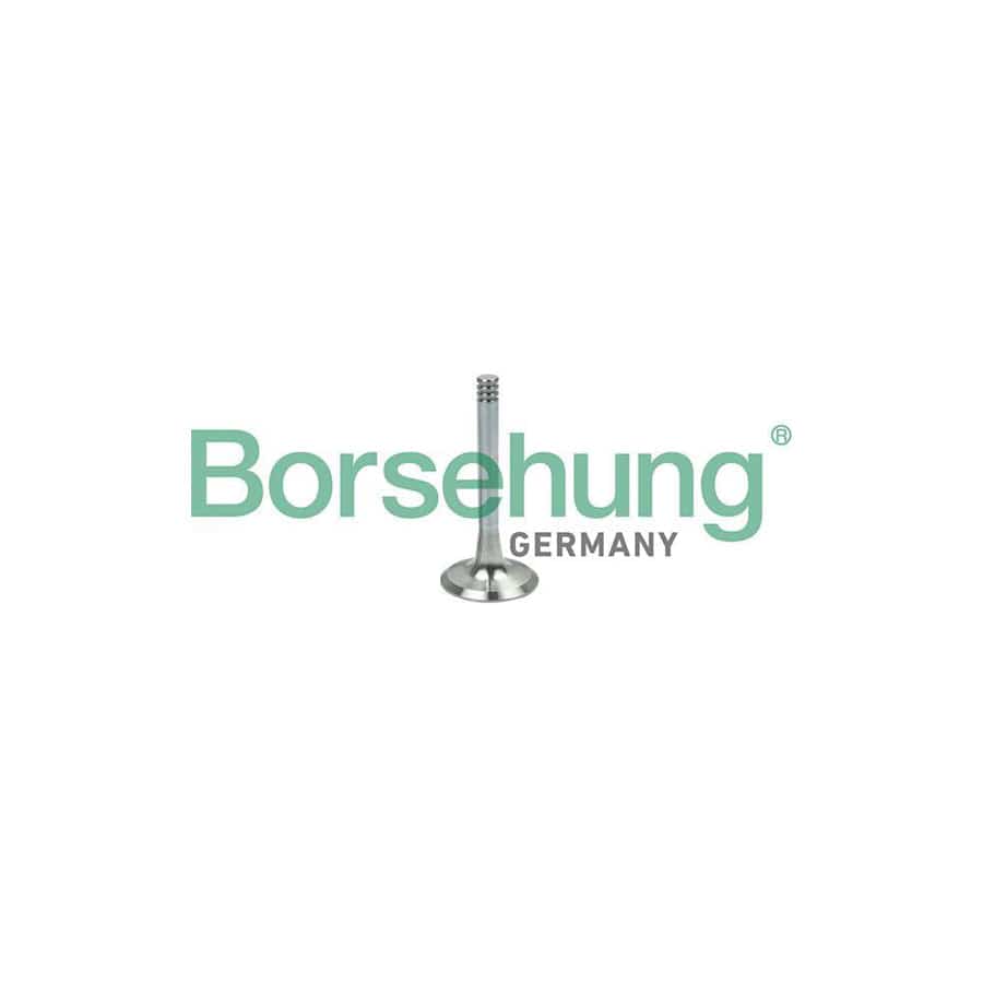 Borsehung B19002 Exhaust Valve