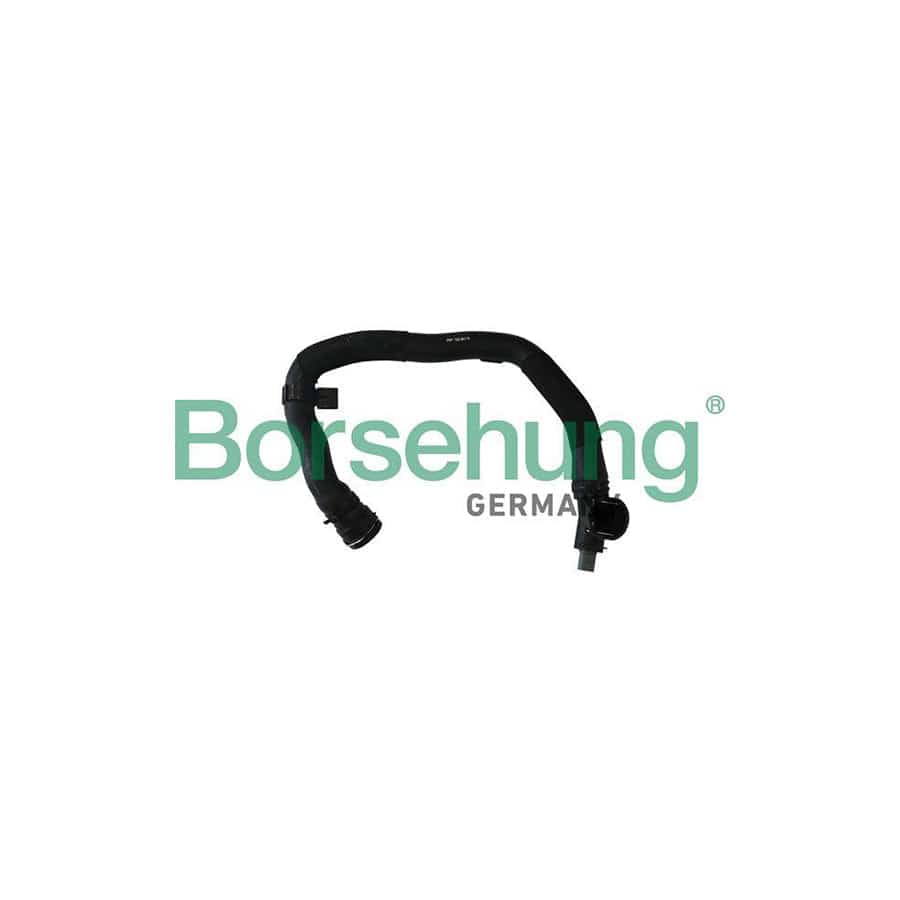 Borsehung B11958 Radiator Hose For Vw Tiguan Ii (Ad1)