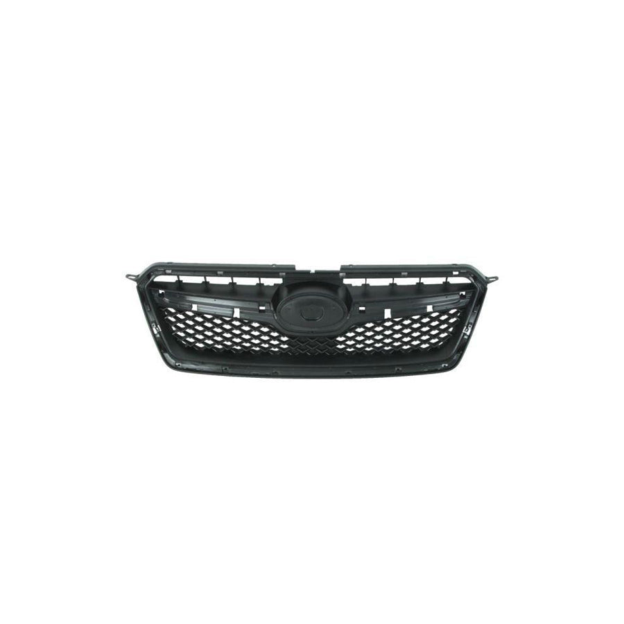 Blic 6502-07-6735998P Radiator Grille