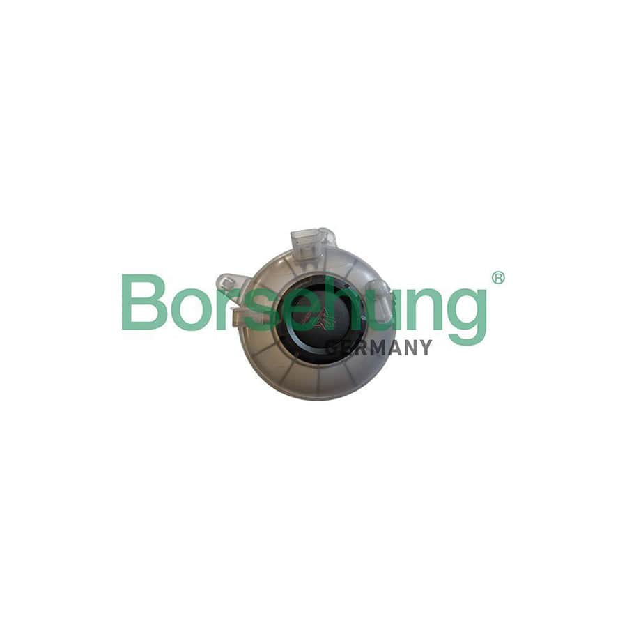 Borsehung B11941 Coolant Expansion Tank