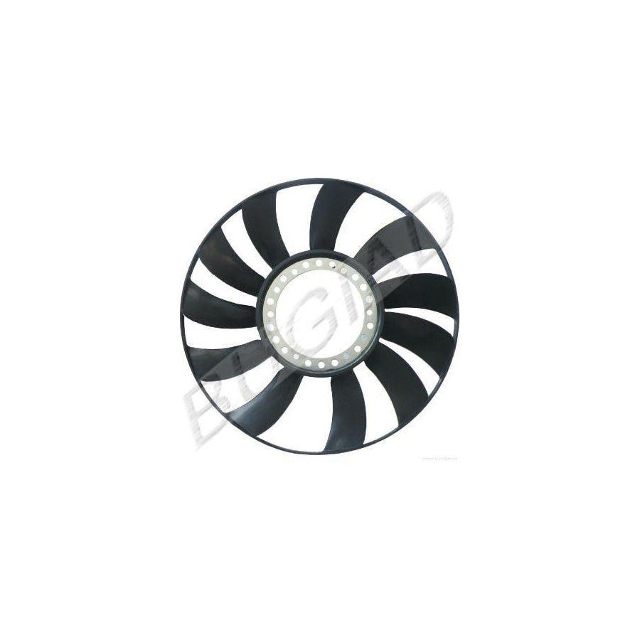 Bugiad BSP20443 Fan Wheel, Engine Cooling