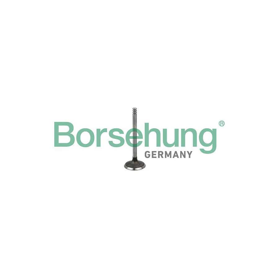 Borsehung B19029 Inlet Valve