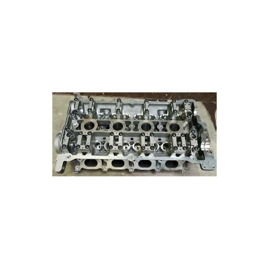 Bugiad BSP20442 Cylinder Head