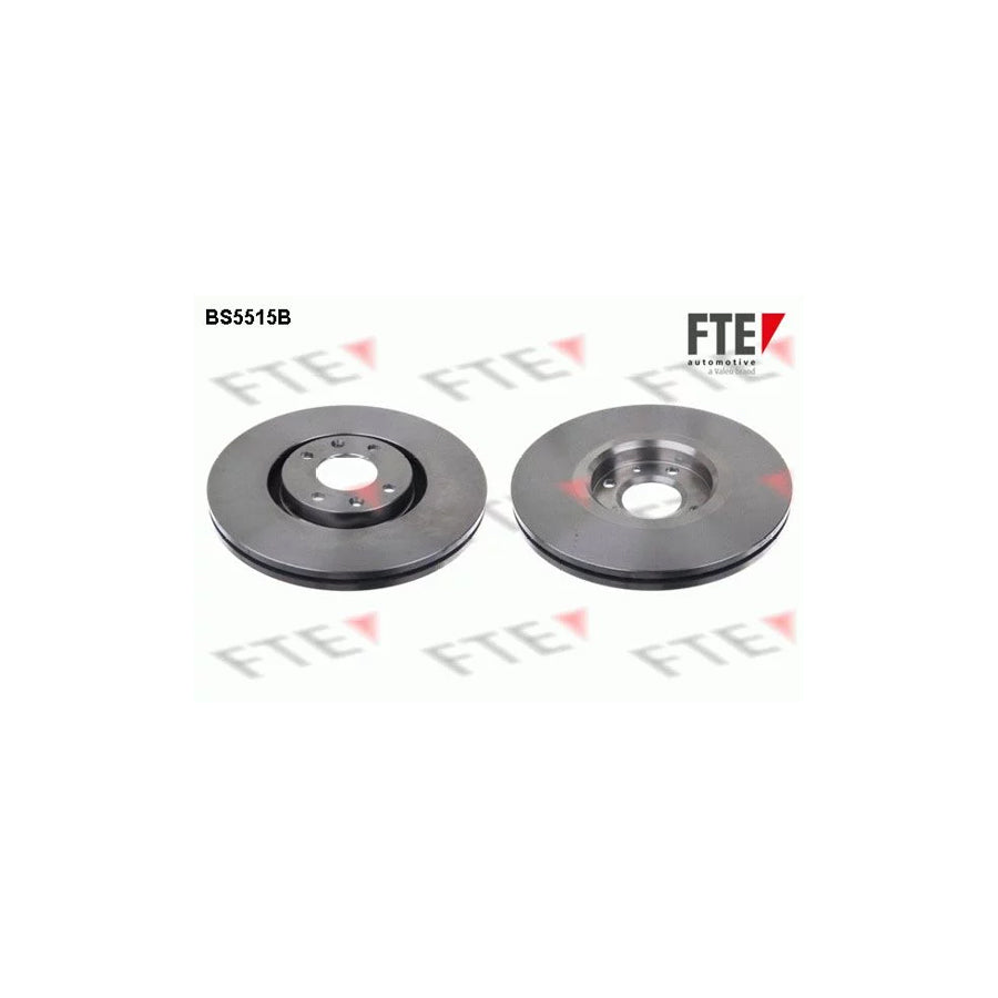 Fte BS5515B Brake Disc | ML Performance UK Car Parts