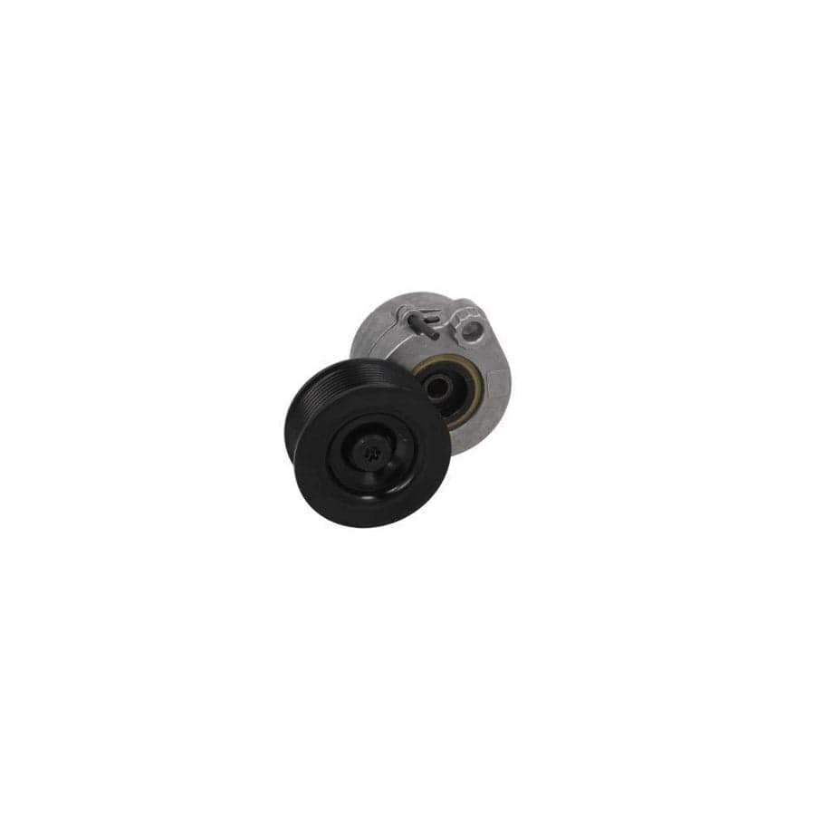 Bta B05-02-011 Tensioner Pulley