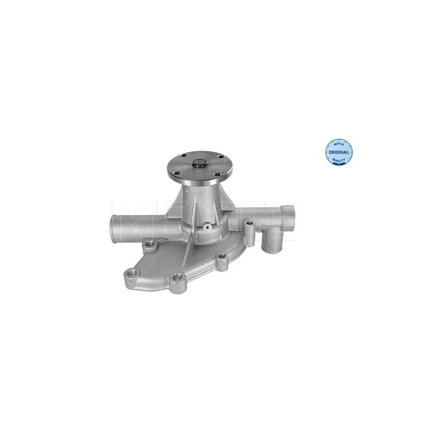 Meyle 313 011 1900 Water Pump