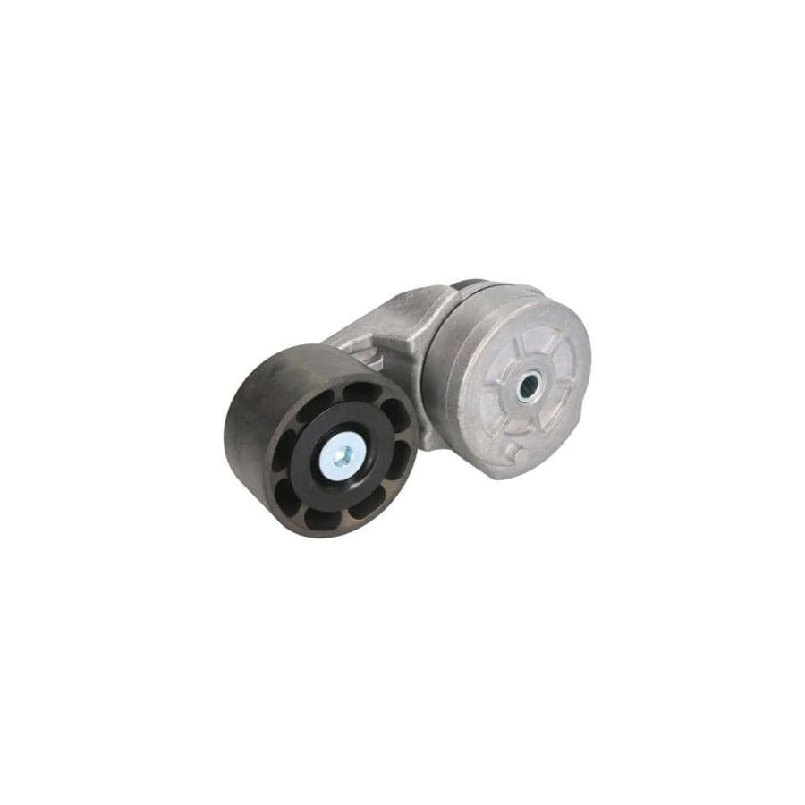 Bta B05-02-010 Tensioner Pulley