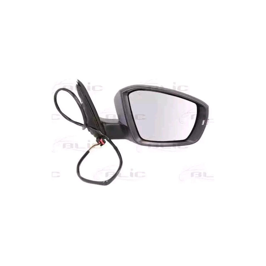 Blic 5402-43-2002354P Wing Mirror