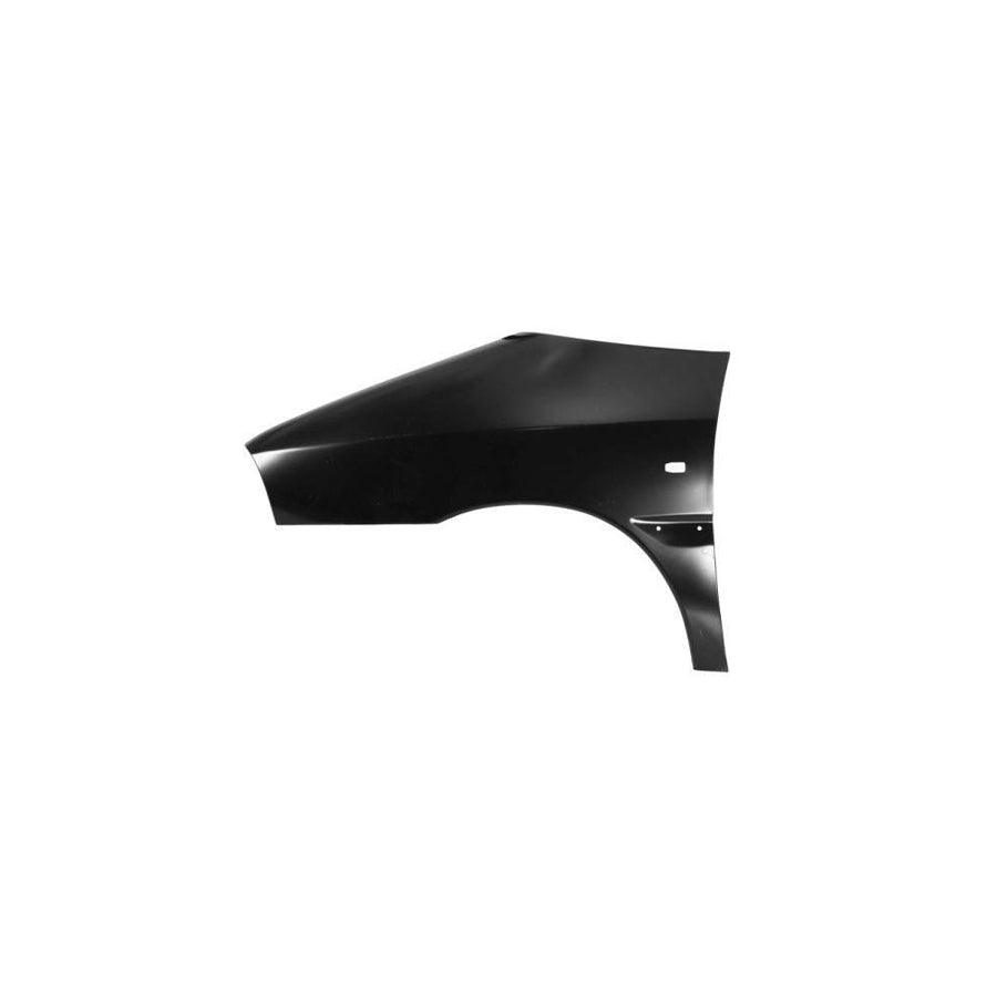 Blic 6504-04-2036311Q Wing Fender