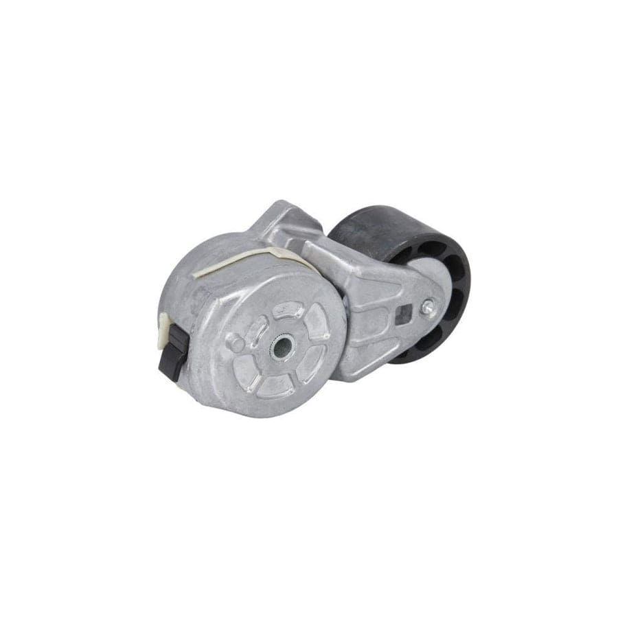 Bta B05-02-008 Tensioner Pulley