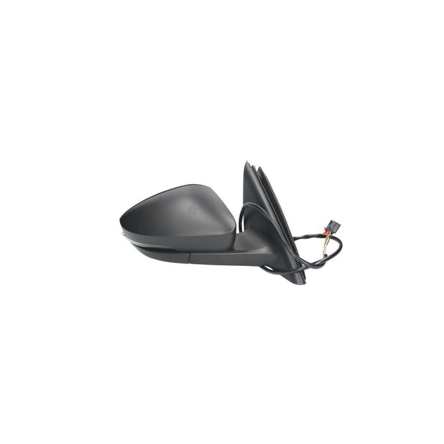 Blic 5402-43-2002352P Wing Mirror