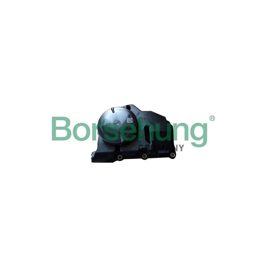 Borsehung B11920 Oil Trap, Crankcase Breather