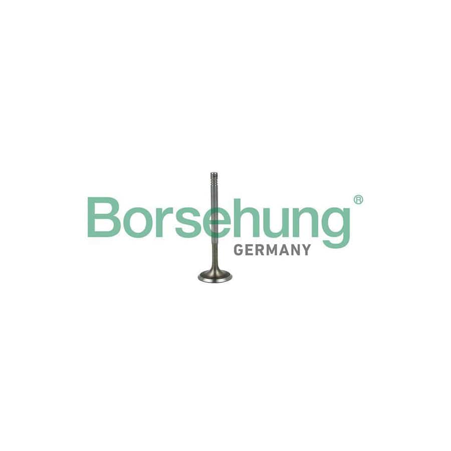 Borsehung B19019 Inlet Valve