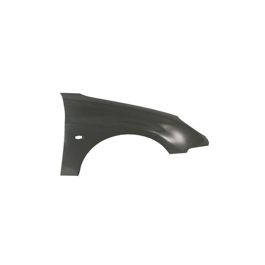 Blic 6504-04-5507316P Wing Fender For Peugeot 206