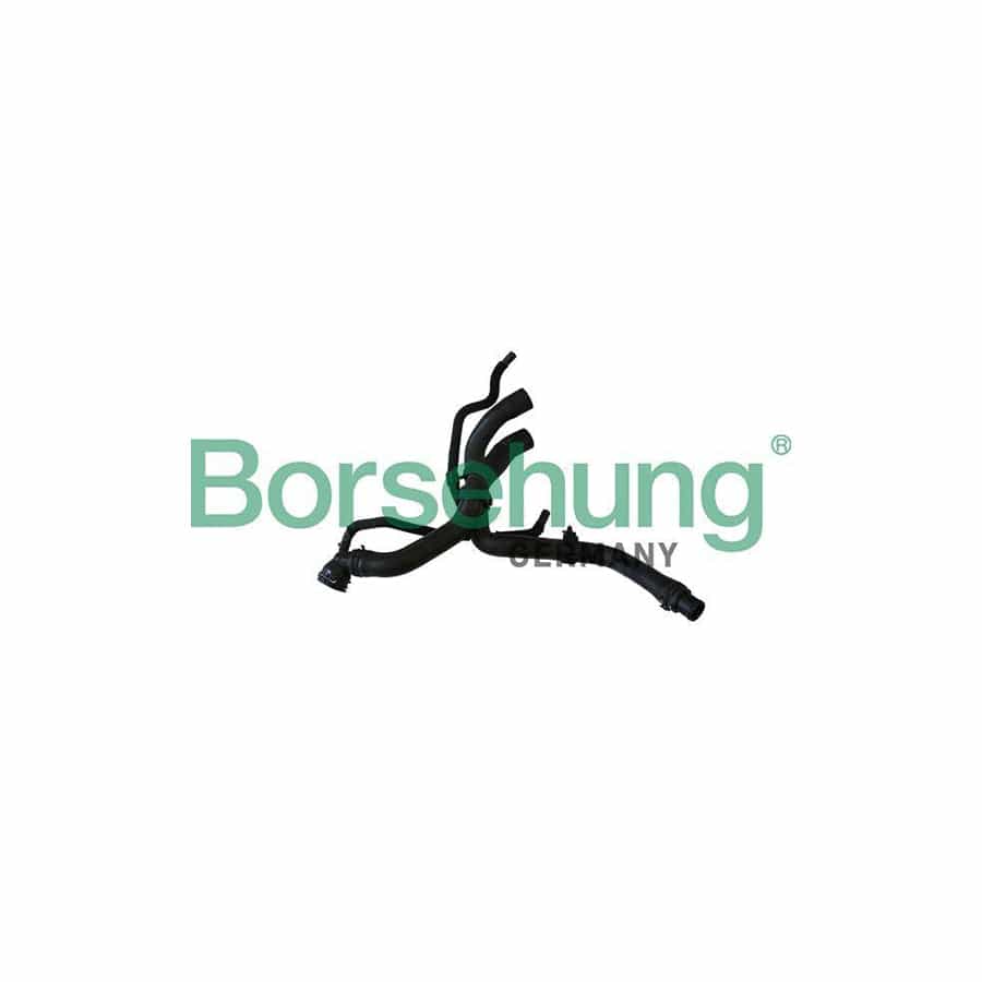 Borsehung B11977 Radiator Hose