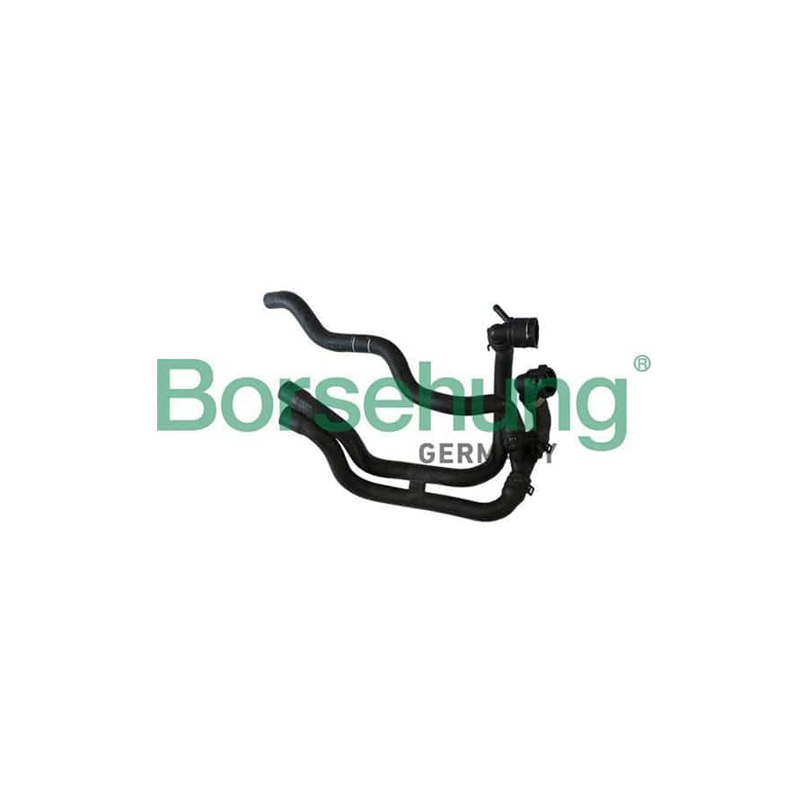 Borsehung B11976 Radiator Hose