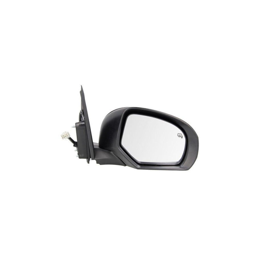 Blic 5402-51-009365P Wing Mirror