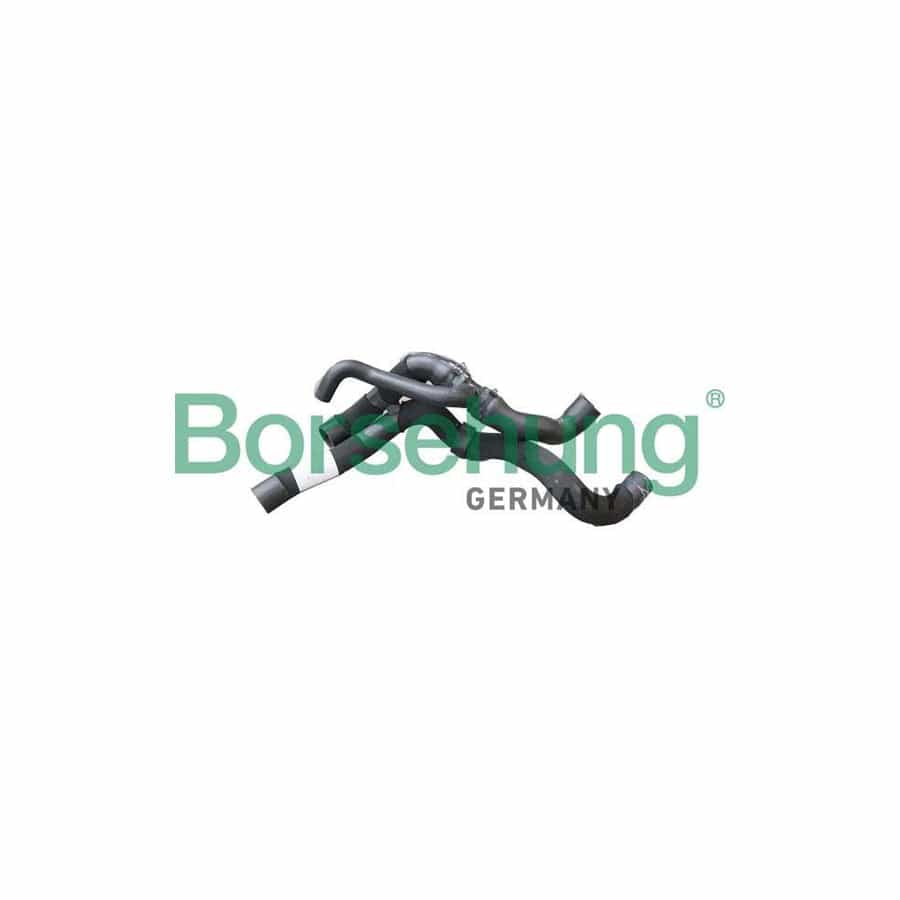 Borsehung B11974 Radiator Hose