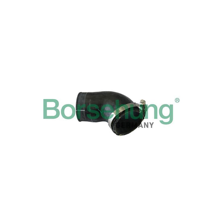 Borsehung B11973 Charger Intake Hose