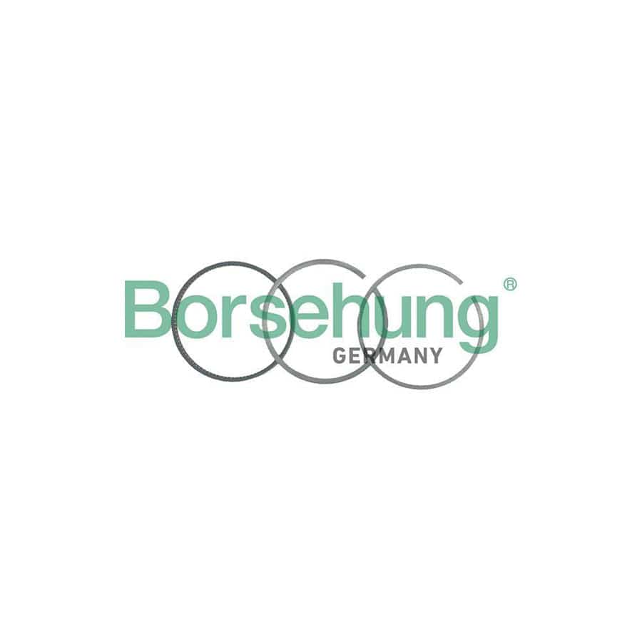 Borsehung B19044 Piston Ring Kit