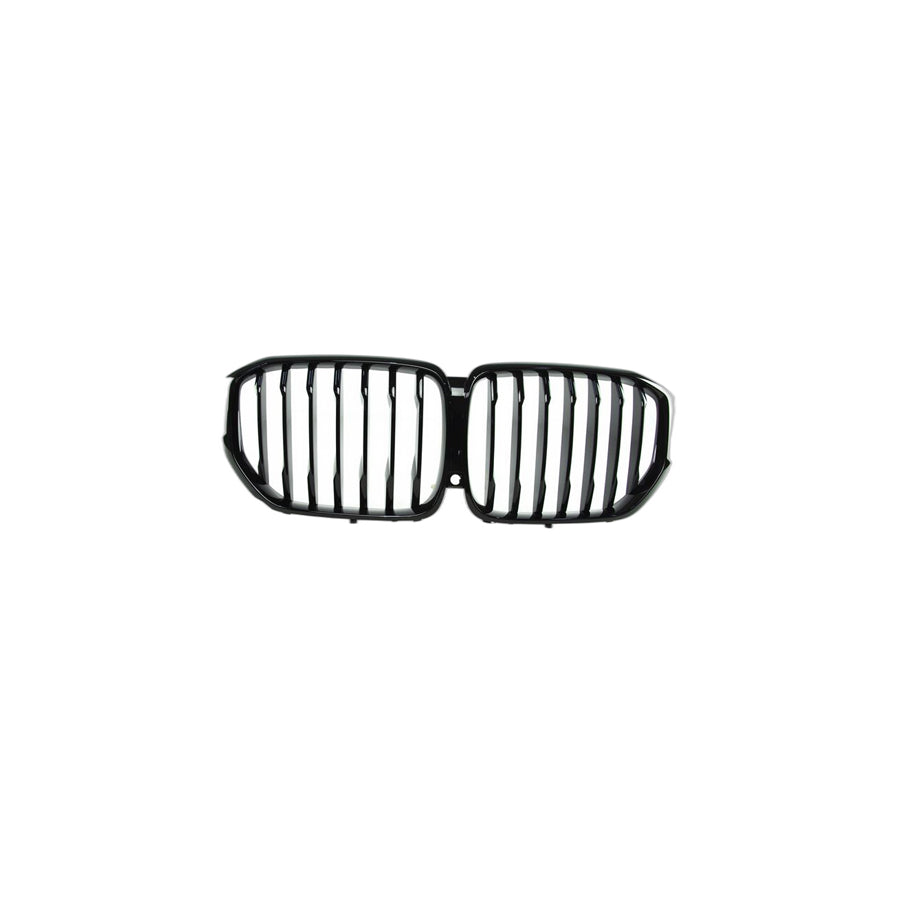 Genuine BMW 51138096590 Grill Front (Inc. X5)