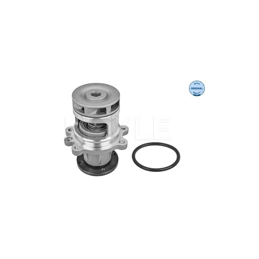 Meyle 313 011 2900 Water Pump