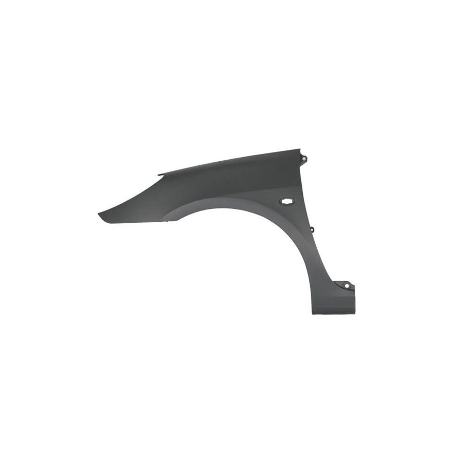 Blic 6504-04-5514313P Wing Fender For Peugeot 307