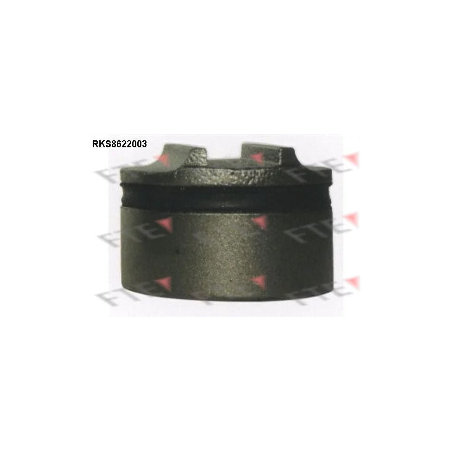 Fte 9313167 Piston, Brake Caliper | ML Performance UK Car Parts