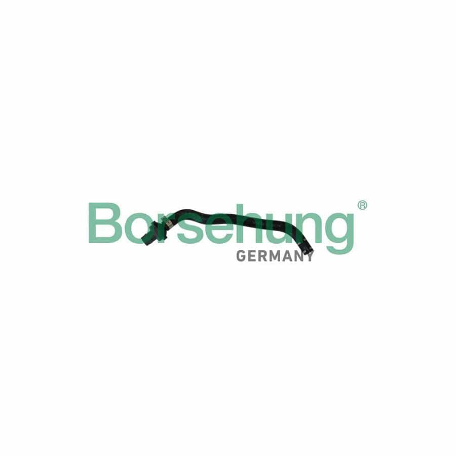 Borsehung B11970 Crankcase Breather Hose