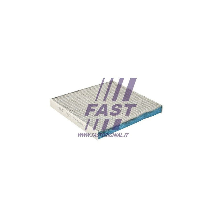 Fast FT37317Pm Pollen Filter | ML Performance UK Car Parts