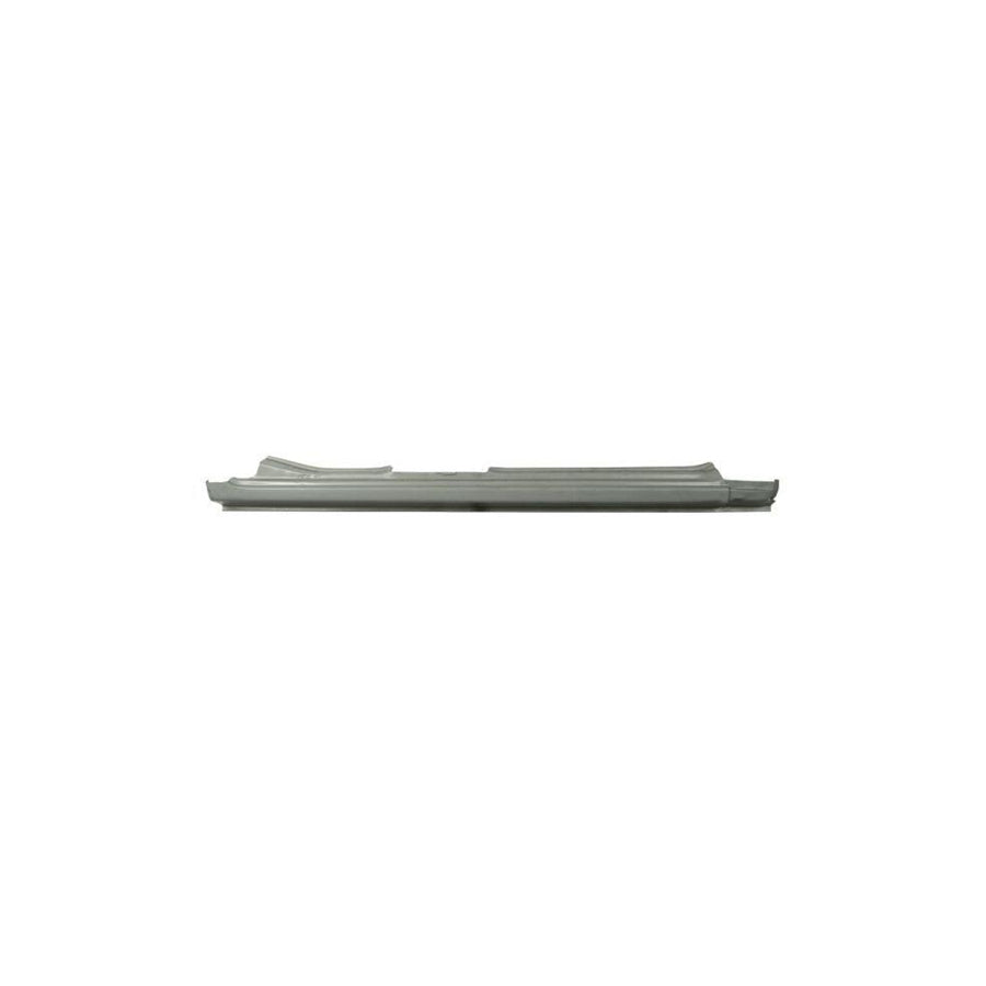 Blic 6505-06-9008012P Rocker Panel