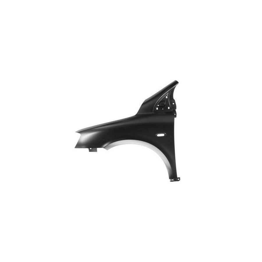 Blic 6504-04-2045313P Wing Fender For Fiat Multipla (186)