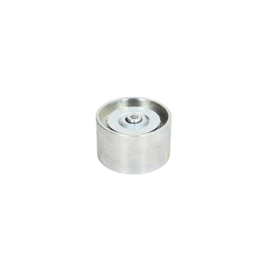 Bta B05-02-029 Tensioner Pulley