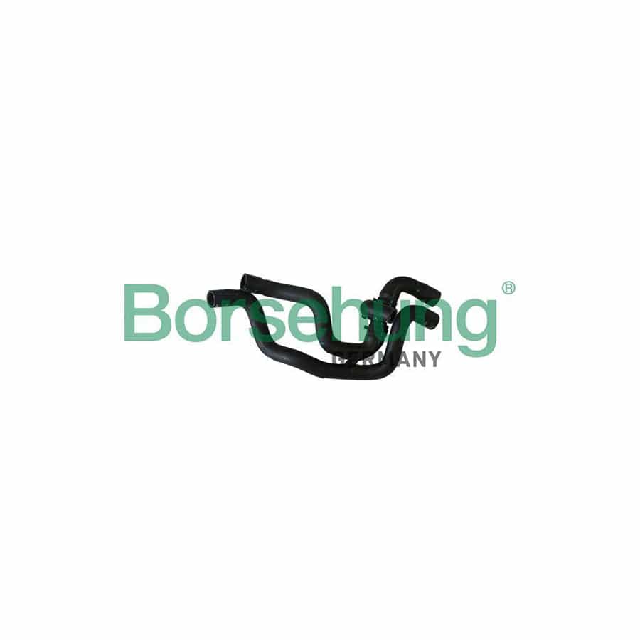 Borsehung B11967 Radiator Hose