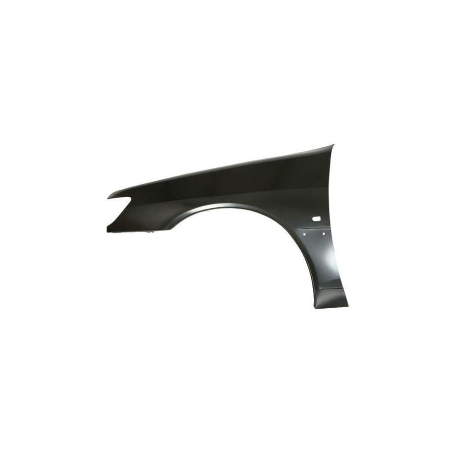 Blic 6504-04-5513311P Wing Fender For Peugeot 306