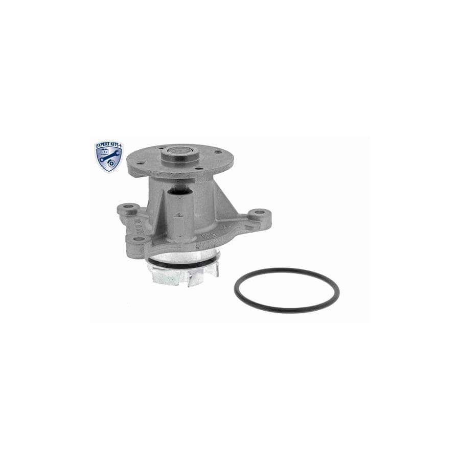 Ackoja A52-0708 Water Pump | ML Performance UK