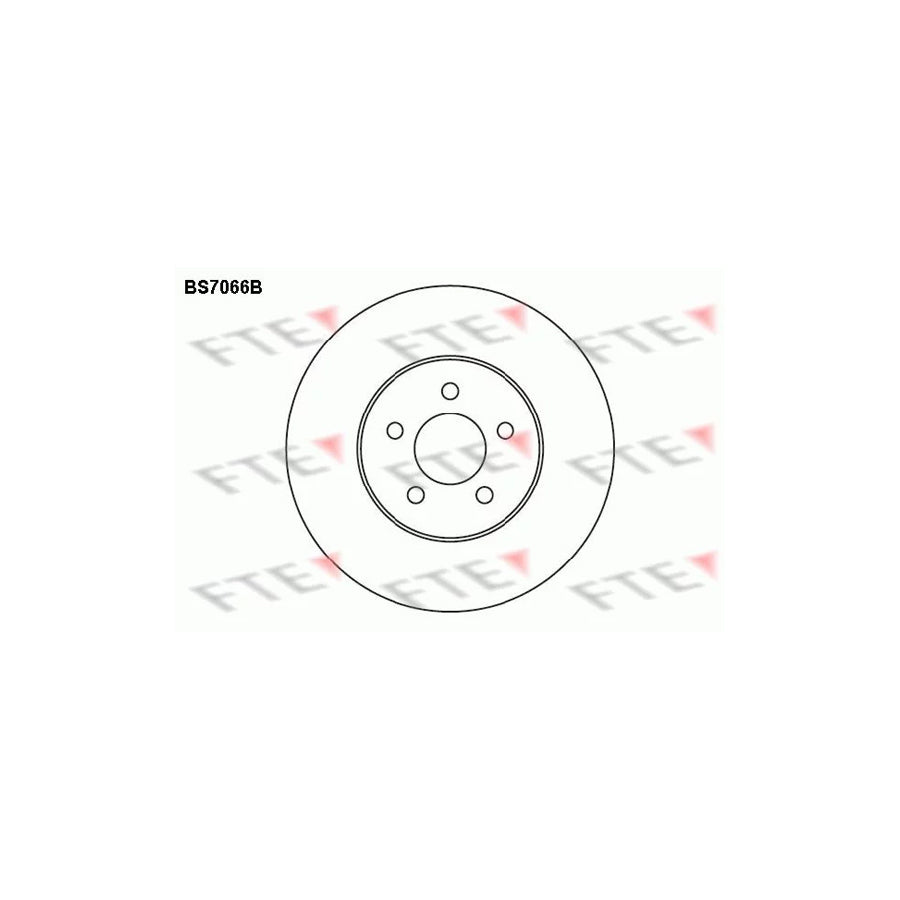 Fte BS7066B Brake Disc | ML Performance UK Car Parts