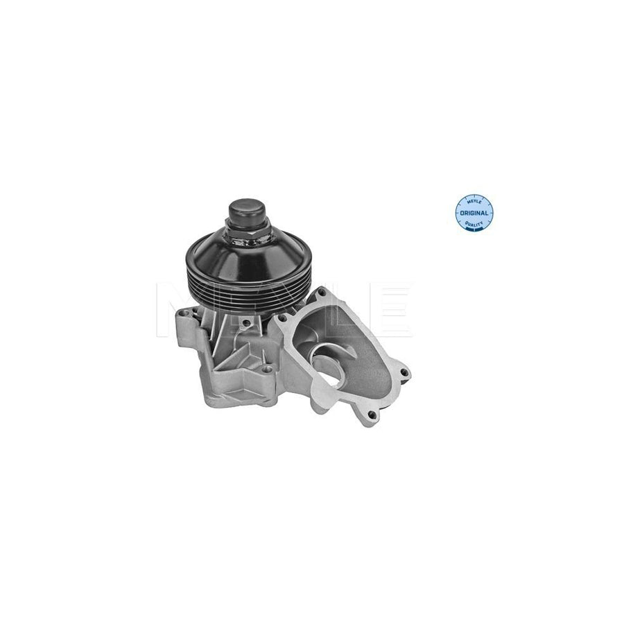 Meyle 313 220 0004 Water Pump