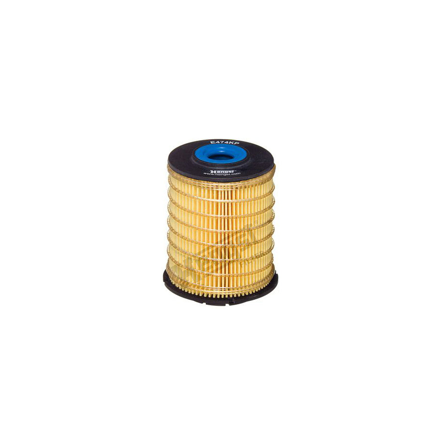 Hengst Filter E474Kp D399 Fuel Filter