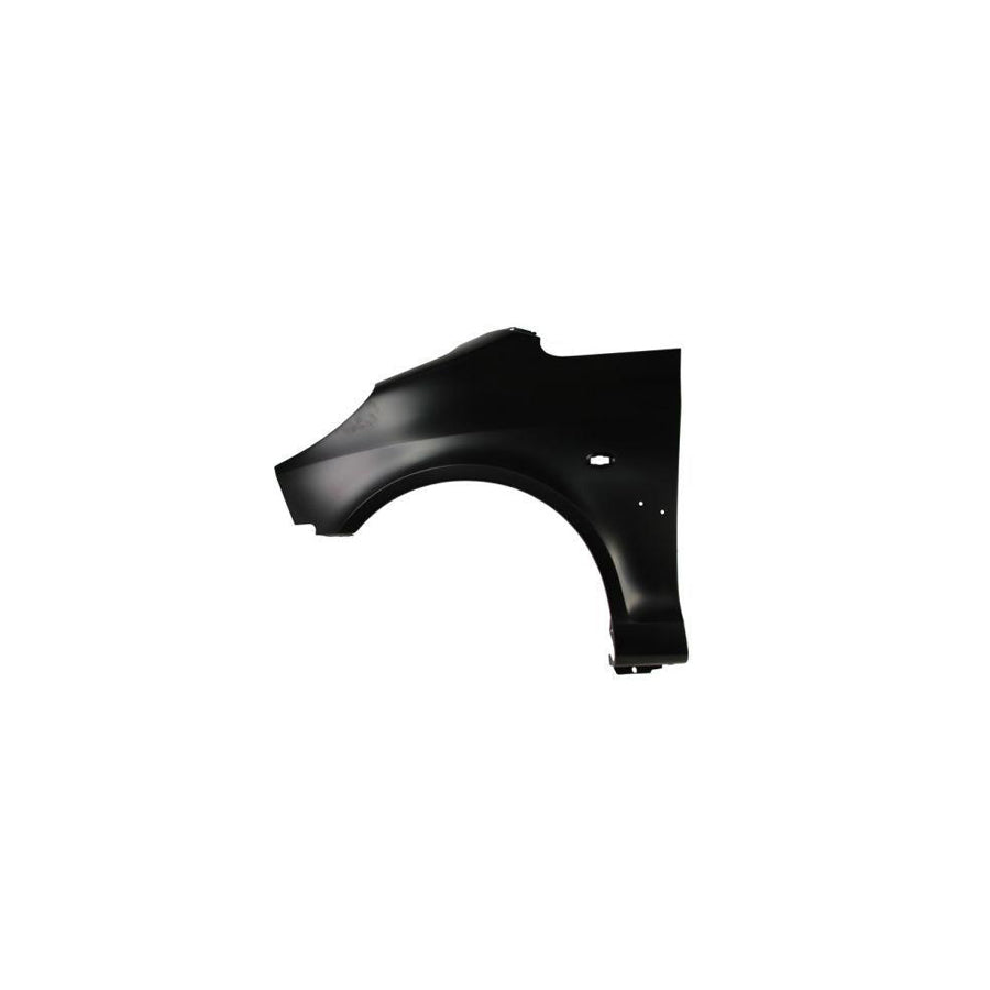 Blic 6504-04-5526311P Wing Fender For Peugeot 1007 Hatchback