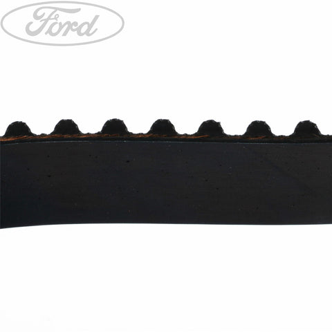 GENUINE FORD 2033352 RANGER EVEREST TIMING CAM BELT 2006-2011 | ML Performance UK