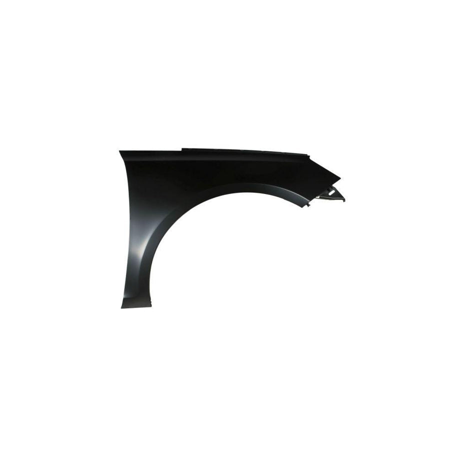 Blic 6504-04-5519314P Wing Fender For Peugeot 308