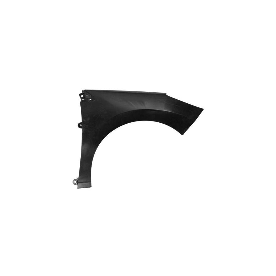 Blic 6504-04-5519312Q Wing Fender For Peugeot 308