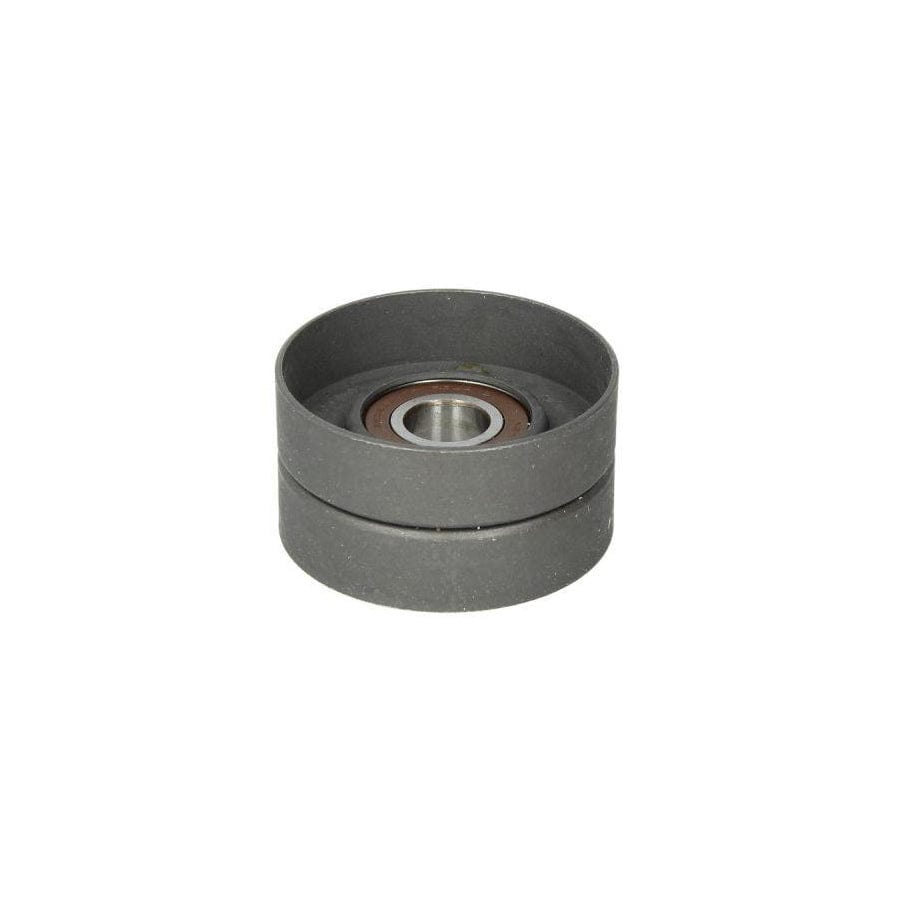 Bta B05-02-020 Tensioner Pulley